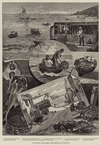 Le nostre industrie della pesca, cattura dei granchi in Cornovaglia